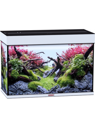 Аквариум Аквас без тумбы, 140 л (81x36x57) см